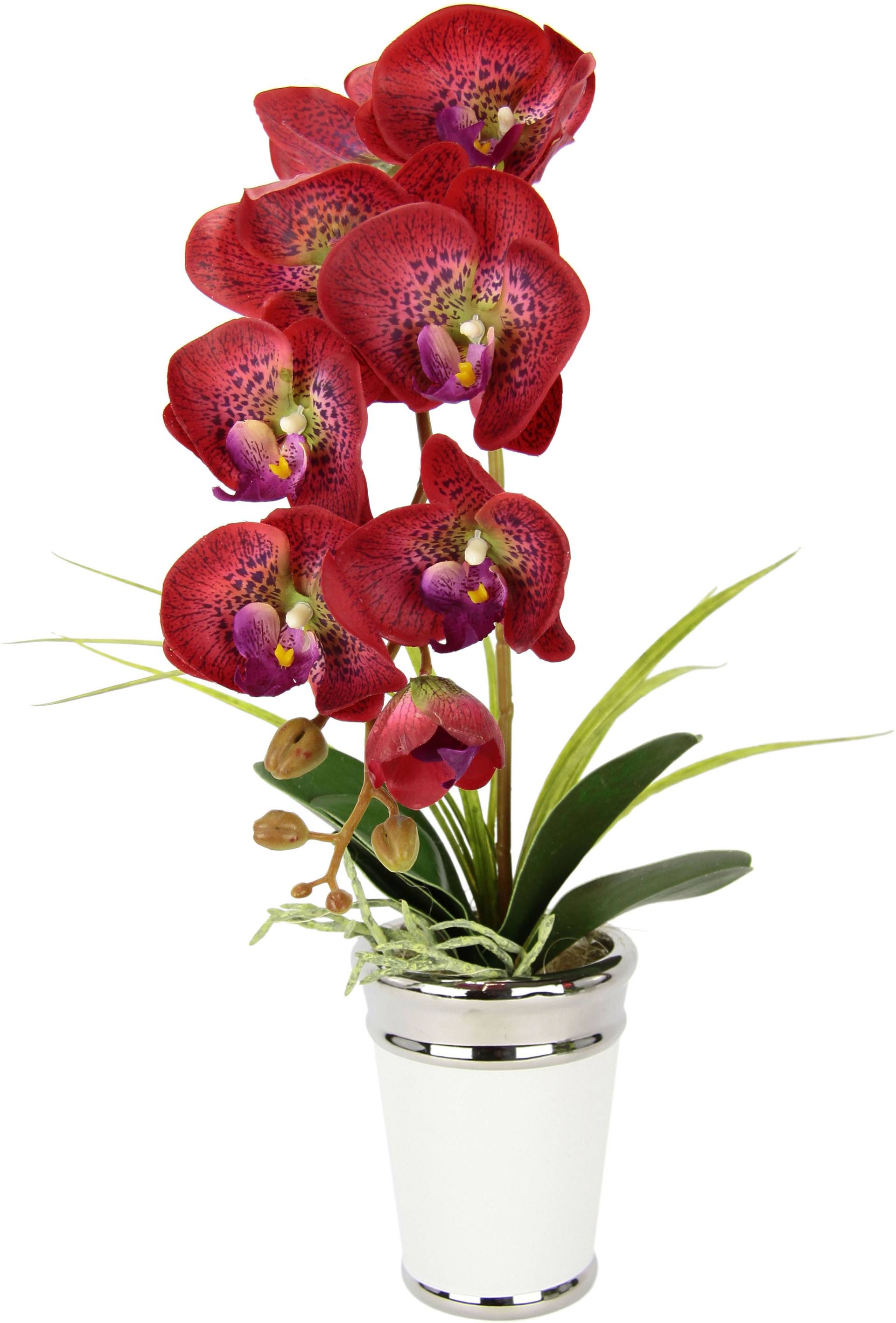 I.GE.A. Kunstblume »Orchidee«, im Topf, aus Keramik, Seidenblume Real Touch von I.GE.A.