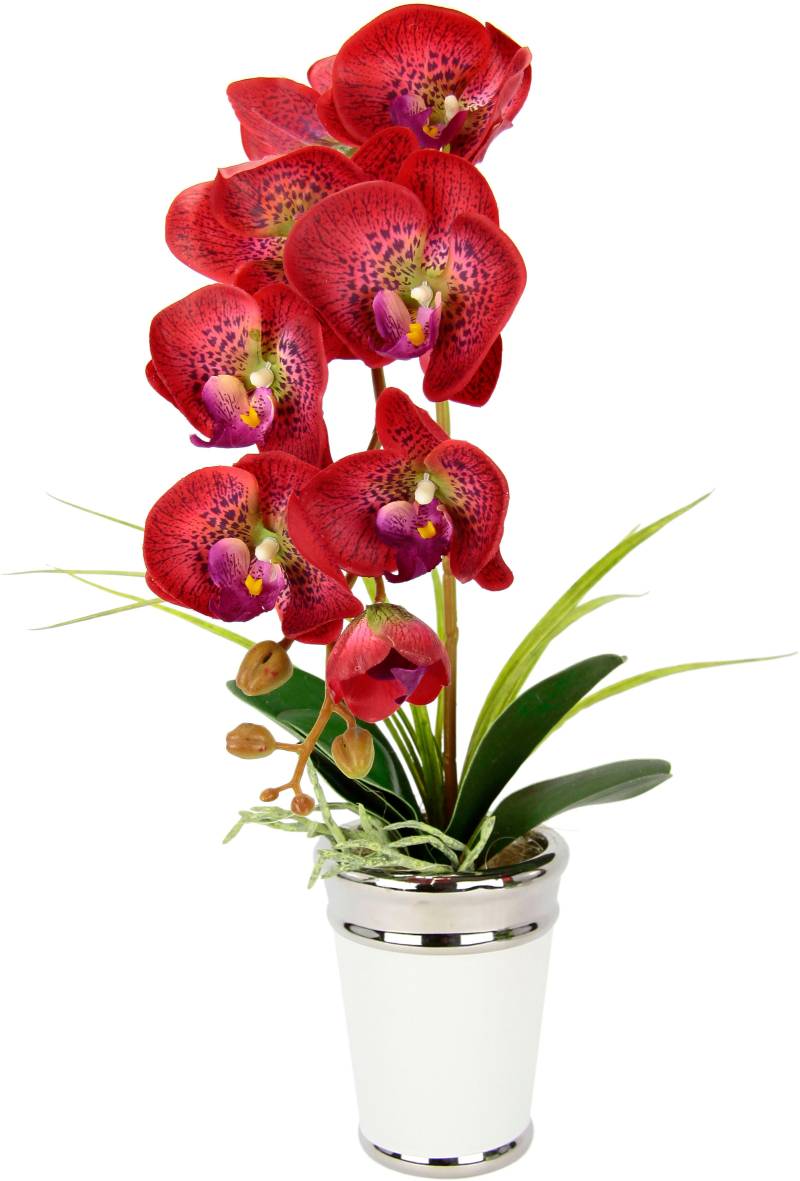 I.GE.A. Kunstblume »Orchidee«, im Topf, aus Keramik, Seidenblume Real Touch von I.GE.A.