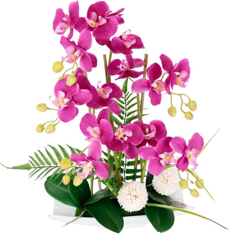 I.GE.A. Kunstblume »Orchideen« von I.GE.A.