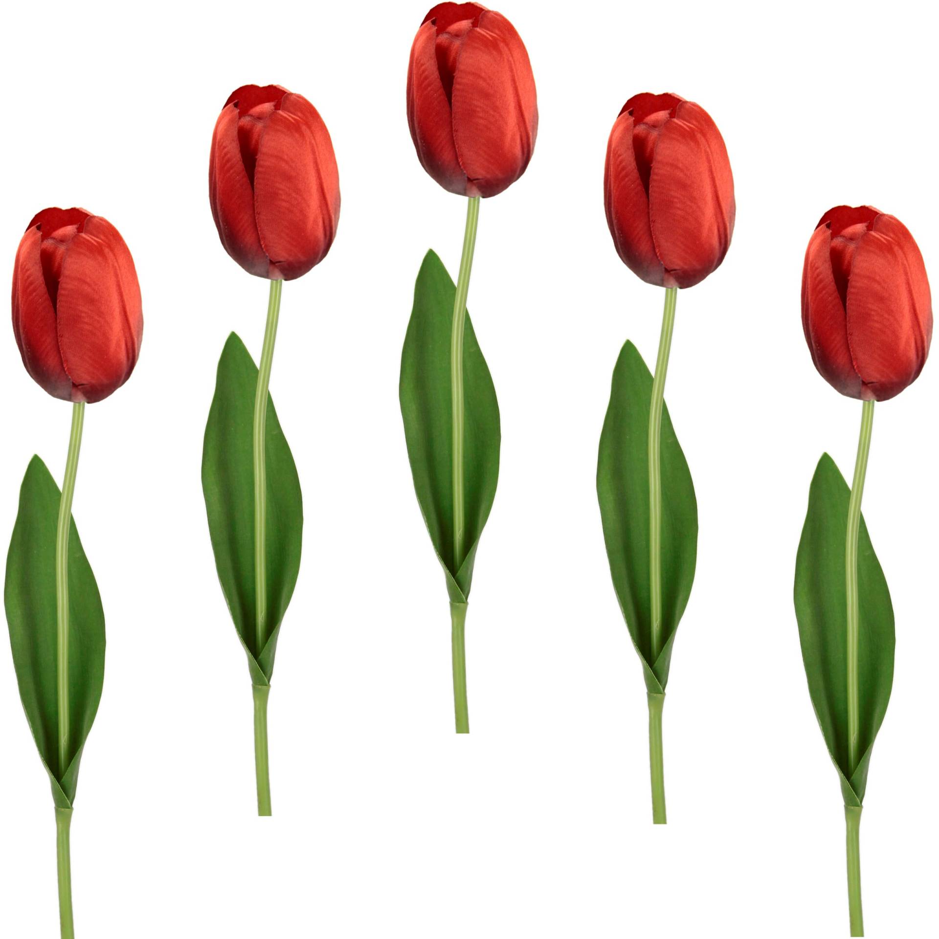 I.GE.A. Kunstblume »Real Touch Tulpen«, 5er Set künstliche Tulpenknospen, Kunstblumen, Stielblume von I.GE.A.