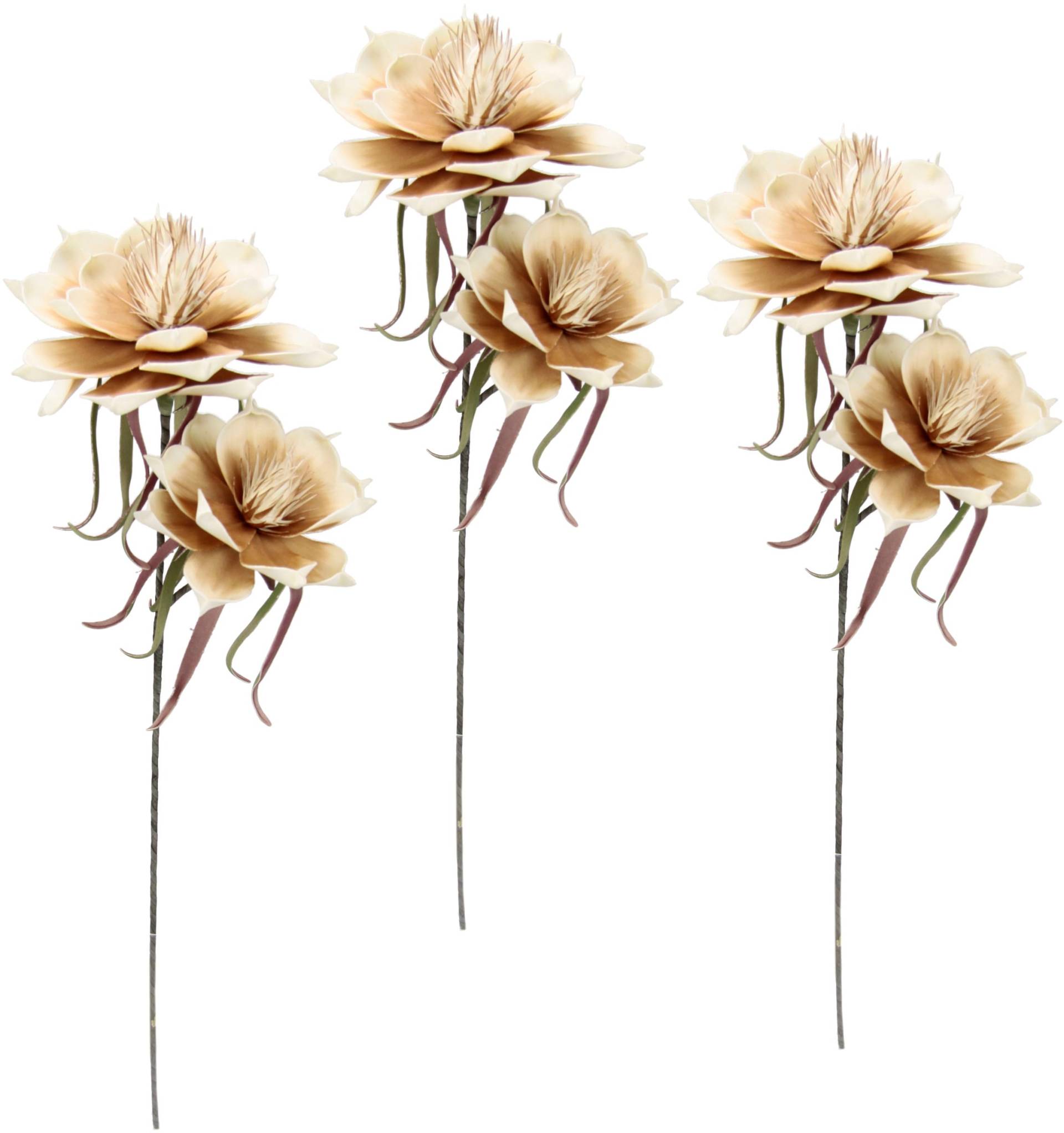 I.GE.A. Kunstblume »Soft-Magnolie«, 3er Set von I.GE.A.