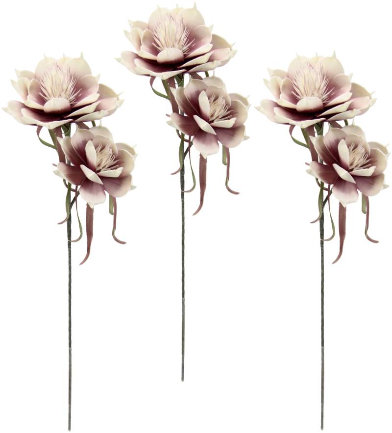 I.GE.A. Kunstblume »Soft-Magnolie«, 3er Set von I.GE.A.