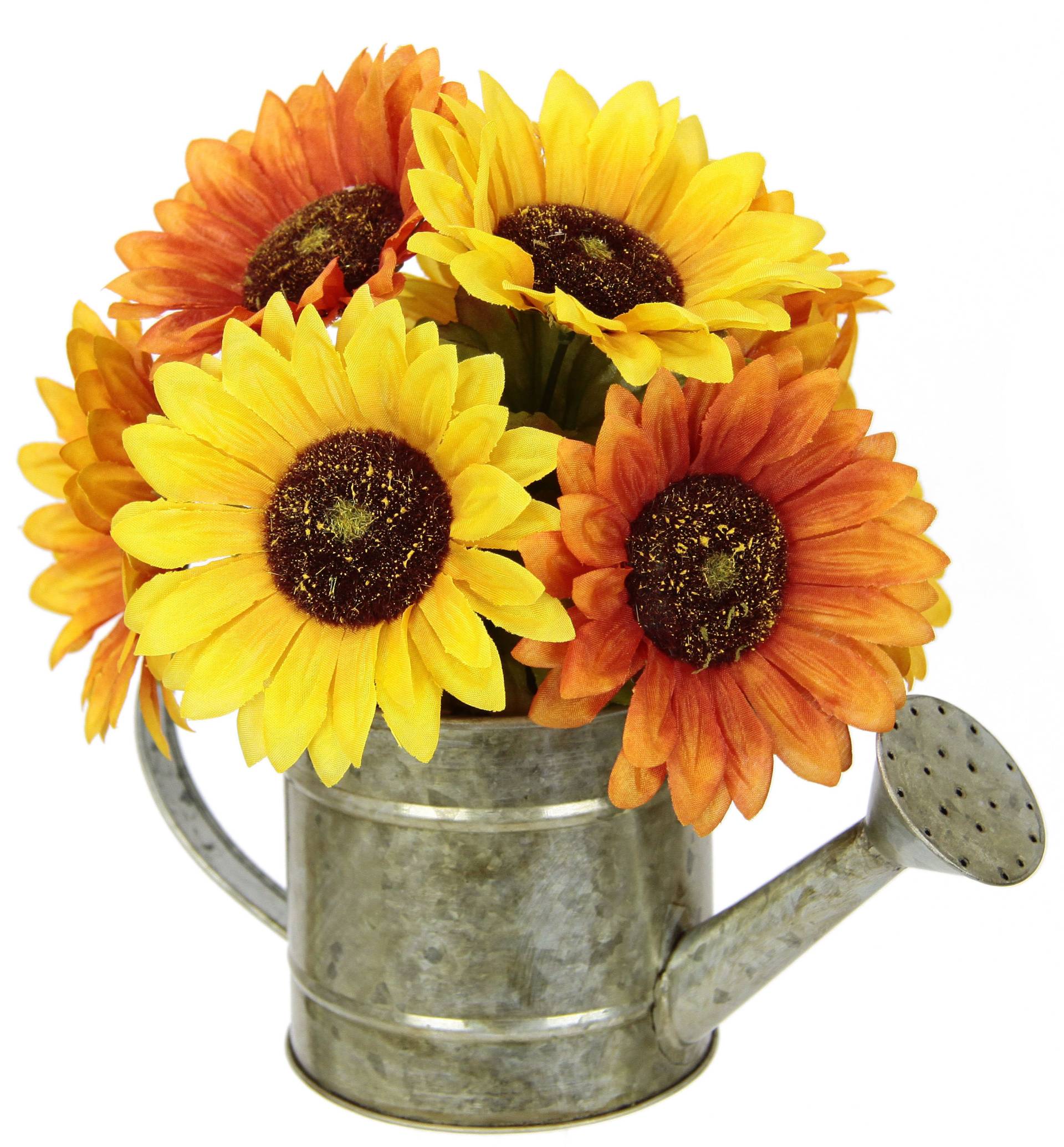 I.GE.A. Kunstblume »Sonnenblumen in Giesskanne«, Herbstgesteck Herbstliche Blumen I.GE.A. Kunstblume »Sonnenblumen in Giesskanne«, Herbstgesteck Herbstliche Blumen von I.GE.A.