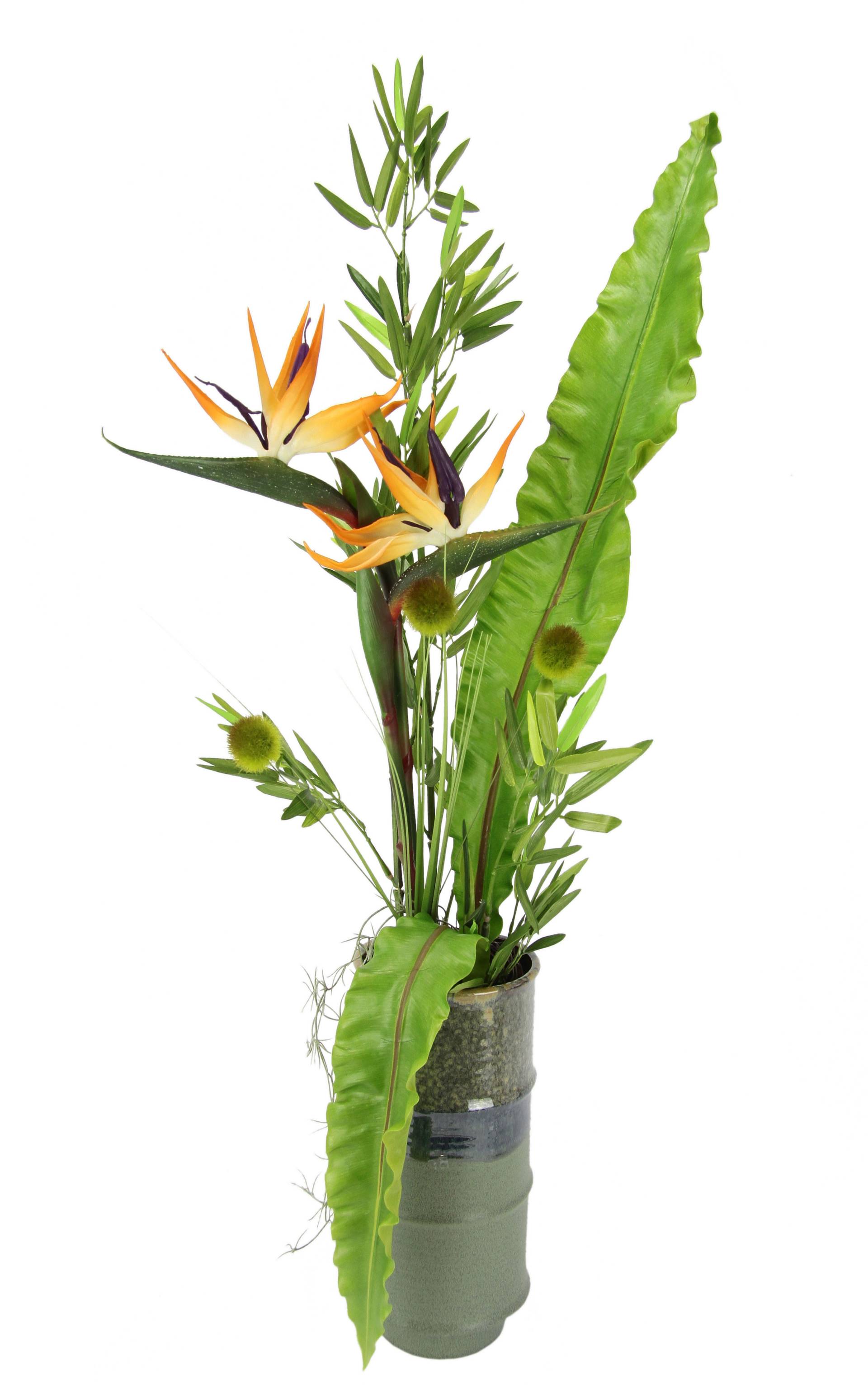 I.GE.A. Kunstblume »Strelitzie«, In Vase aus Keramik mit Bambus Dekoblätter und Gras I.GE.A. Kunstblume »Strelitzie«, In Vase aus Keramik mit Bambus Dekoblätter und Gras von I.GE.A.