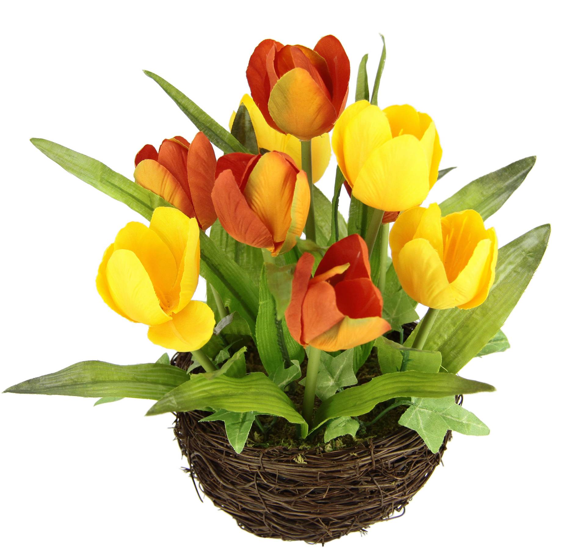 I.GE.A. Kunstblume »Tulpe«, Im Weidenest, Blume Papageientulpe Blüte Osterdeko I.GE.A. Kunstblume »Tulpe«, Im Weidenest, Blume Papageientulpe Blüte Osterdeko von I.GE.A.