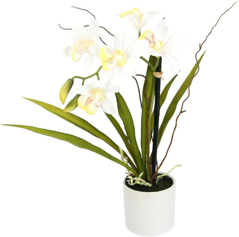 I.GE.A. Kunstorchidee »Orchidee«, im Keramiktopf von I.GE.A.