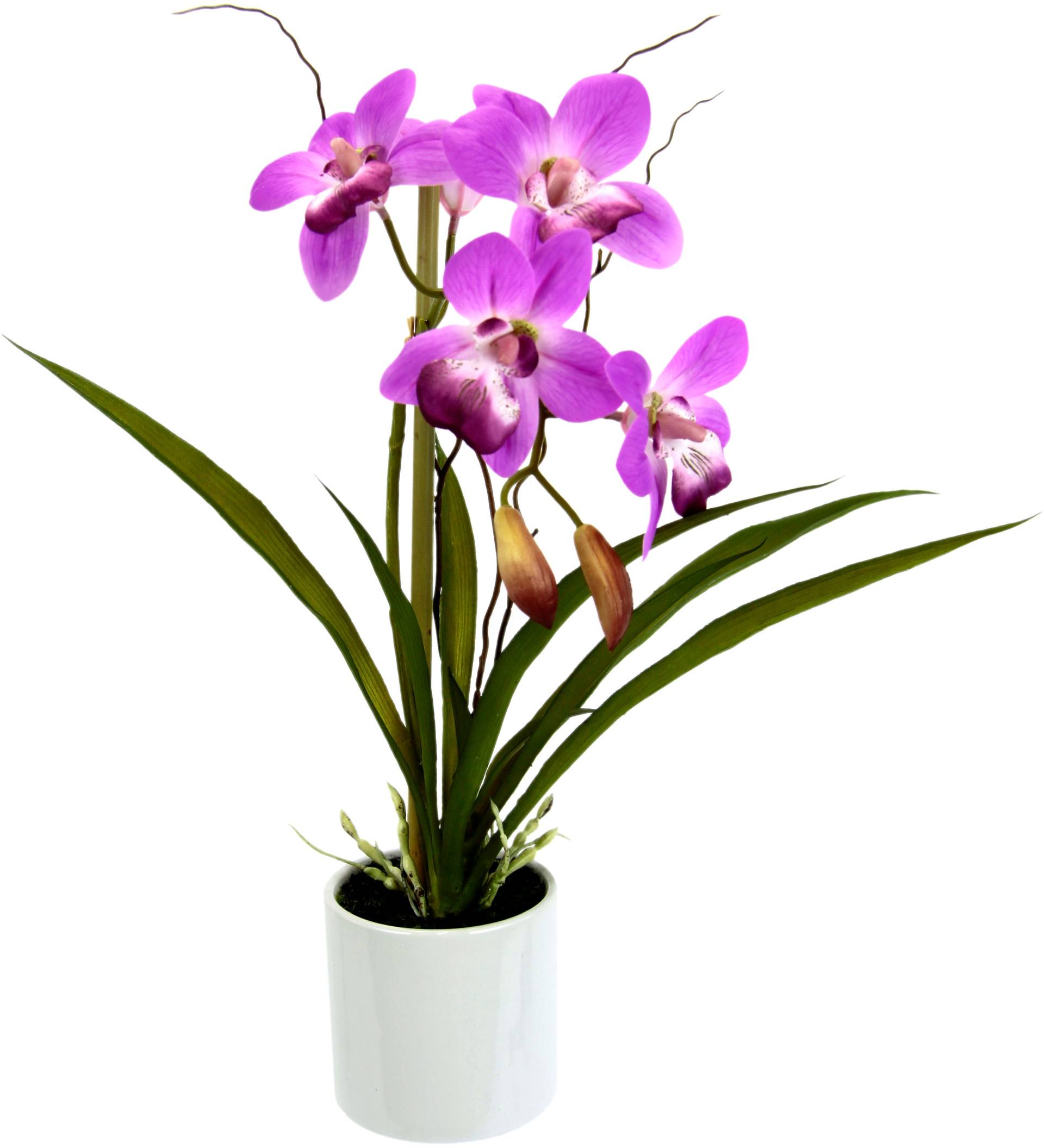 I.GE.A. Kunstorchidee »Orchidee«, im Keramiktopf von I.GE.A.