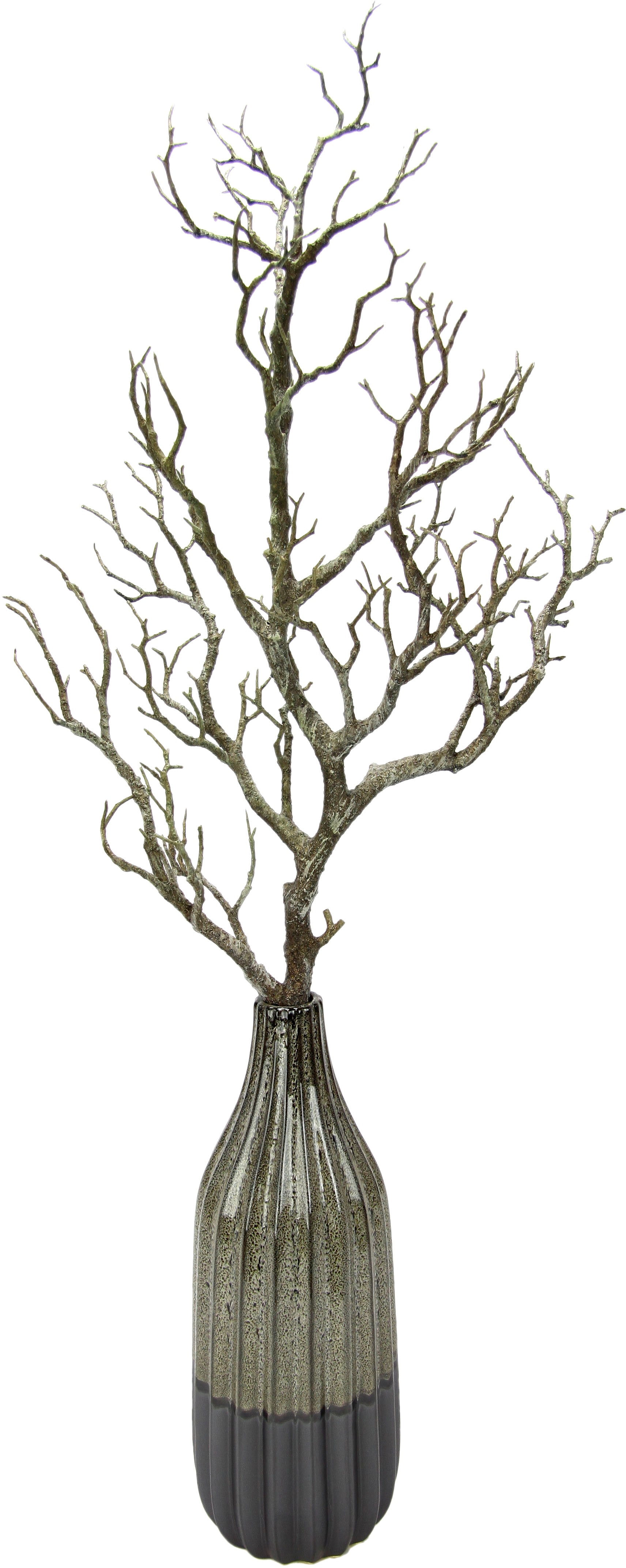 I.GE.A. Kunstpflanze »Deko-Ast«, Mit Vase aus Keramik I.GE.A. Kunstpflanze »Deko-Ast«, Mit Vase aus Keramik von I.GE.A.