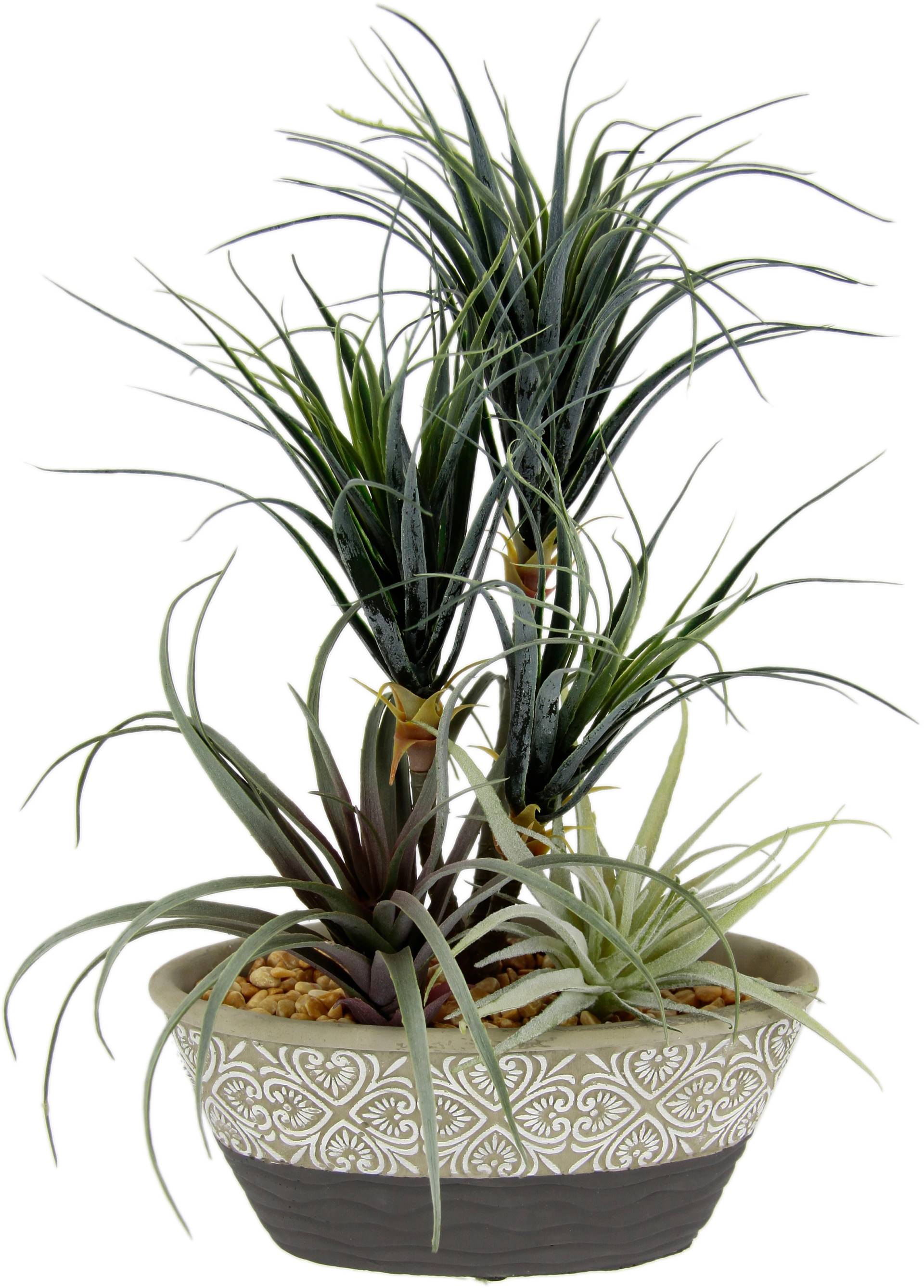 I.GE.A. Kunstpflanze »Dracena/Tillandsia«, Im Übertopf aus Keramik I.GE.A. Kunstpflanze »Dracena/Tillandsia«, Im Übertopf aus Keramik von I.GE.A.