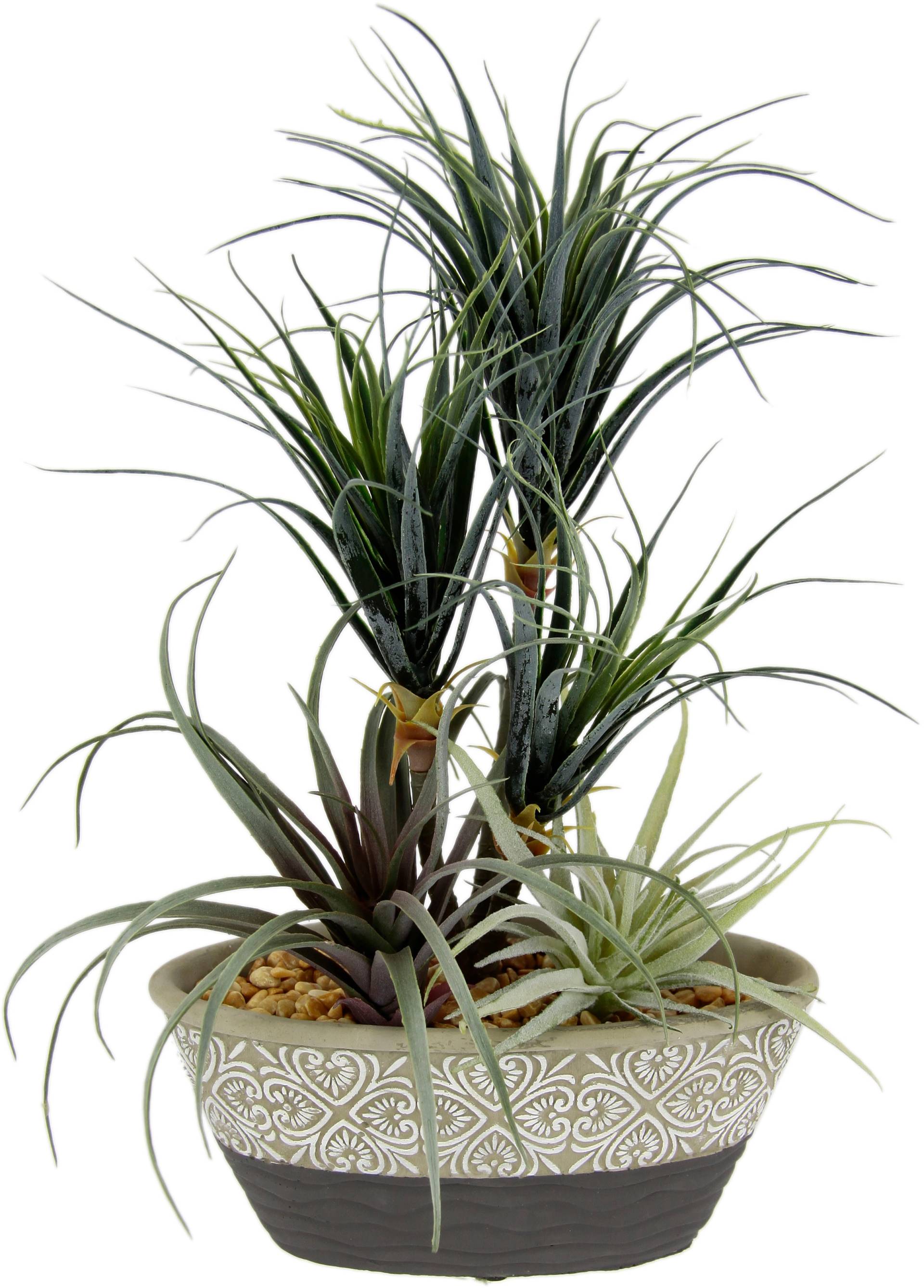 I.GE.A. Kunstpflanze »Dracena/Tillandsia«, Im Übertopf aus Keramik von I.GE.A.