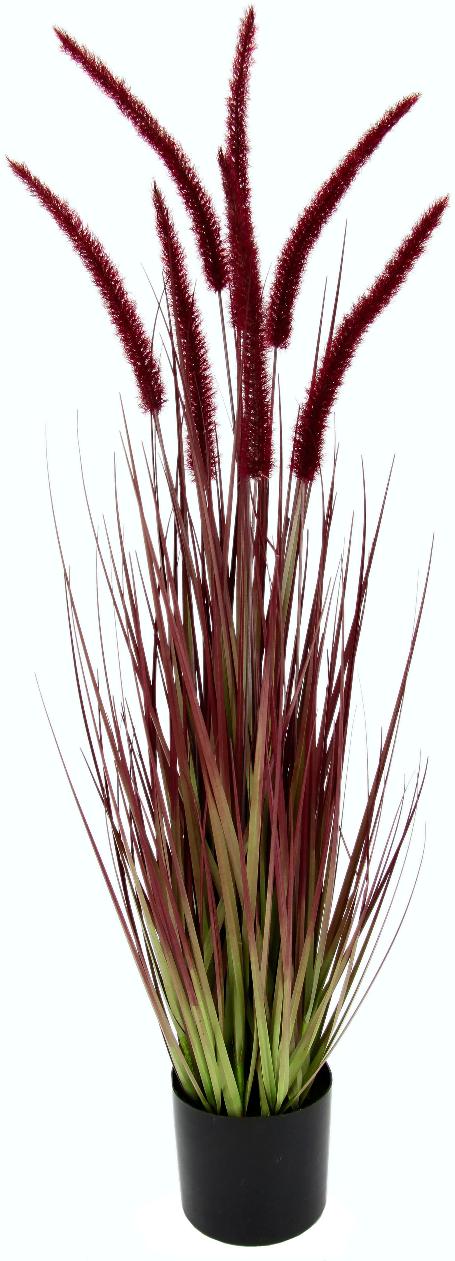 I.GE.A. Kunstpflanze »Fuchsschwanzgras«, Im Topf I.GE.A. Kunstpflanze »Fuchsschwanzgras«, Im Topf von I.GE.A.