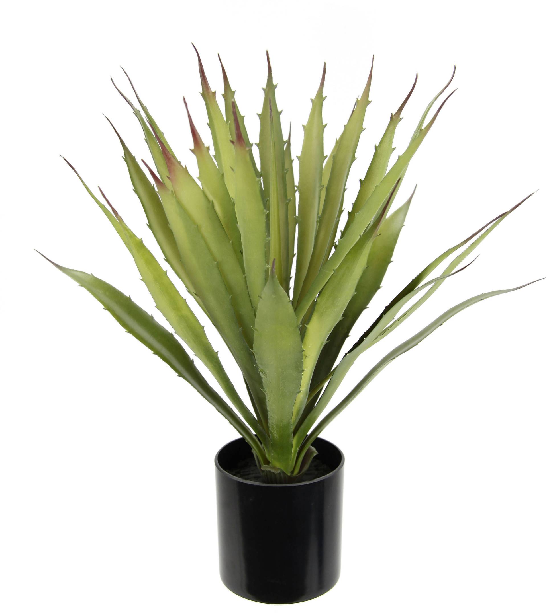 I.GE.A. Kunstpflanze »Künstliche Agave Aloe Vera im Topf Kunstpflanze«, Kaktus Kakteen I.GE.A. Kunstpflanze »Künstliche Agave Aloe Vera im Topf Kunstpflanze«, Kaktus Kakteen von I.GE.A.