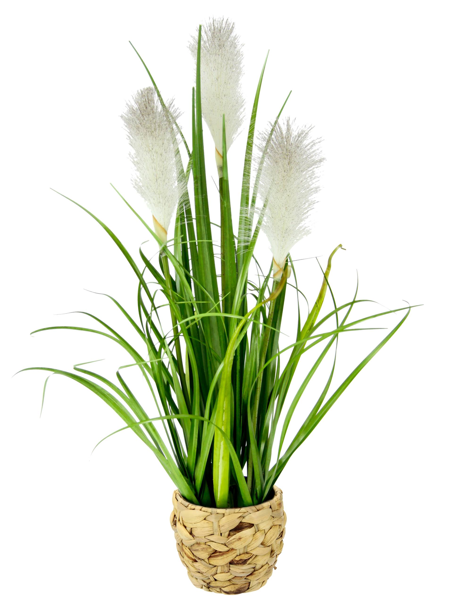 I.GE.A. Kunstpflanze »Pampasgras«, Mit Übertopf, künstliches Pampas Gras I.GE.A. Kunstpflanze »Pampasgras«, Mit Übertopf, künstliches Pampas Gras von I.GE.A.