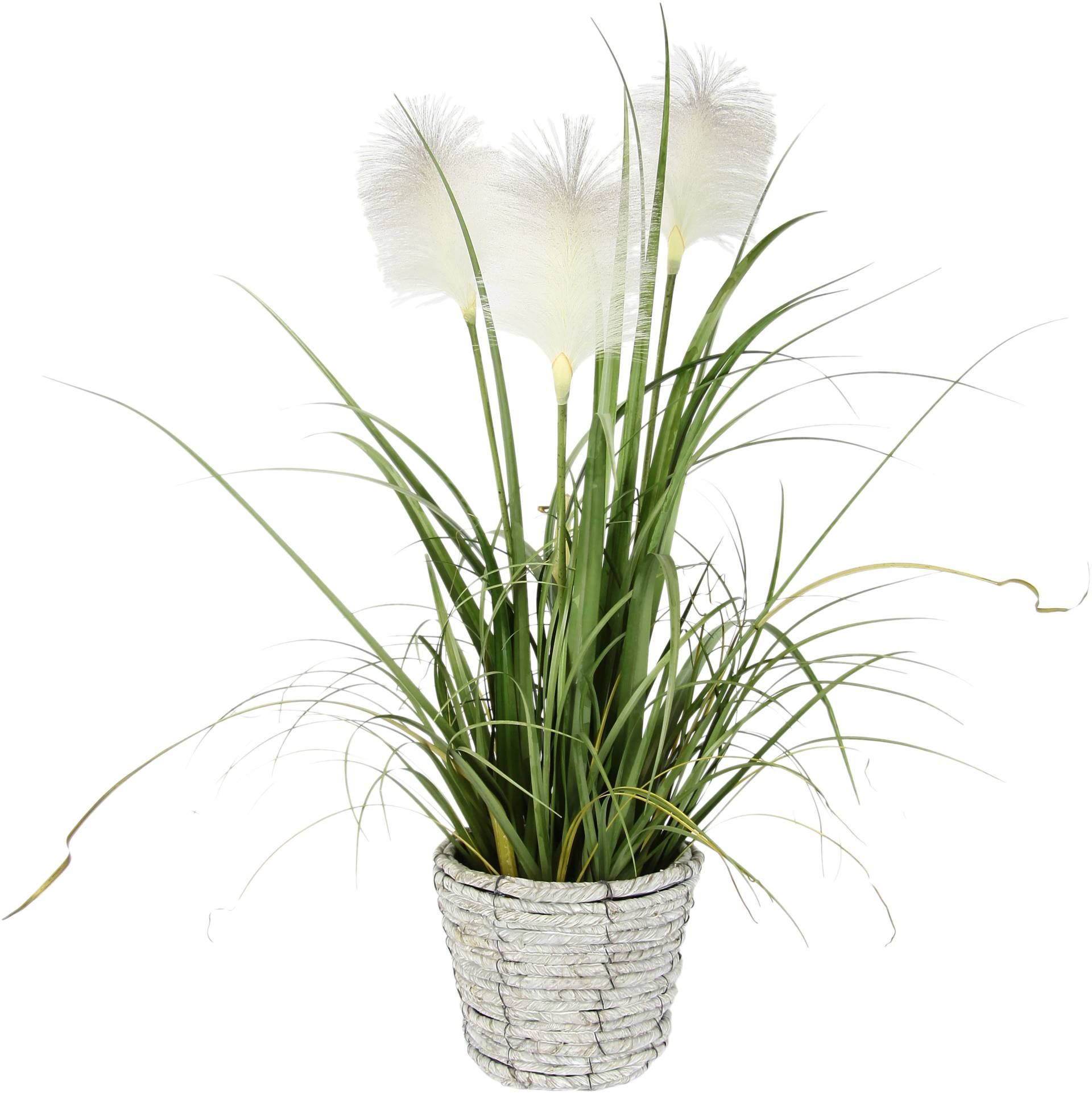 I.GE.A. Kunstpflanze »Pampasgras«, Mit Übertopf, künstliches Pampas Gras I.GE.A. Kunstpflanze »Pampasgras«, Mit Übertopf, künstliches Pampas Gras von I.GE.A.