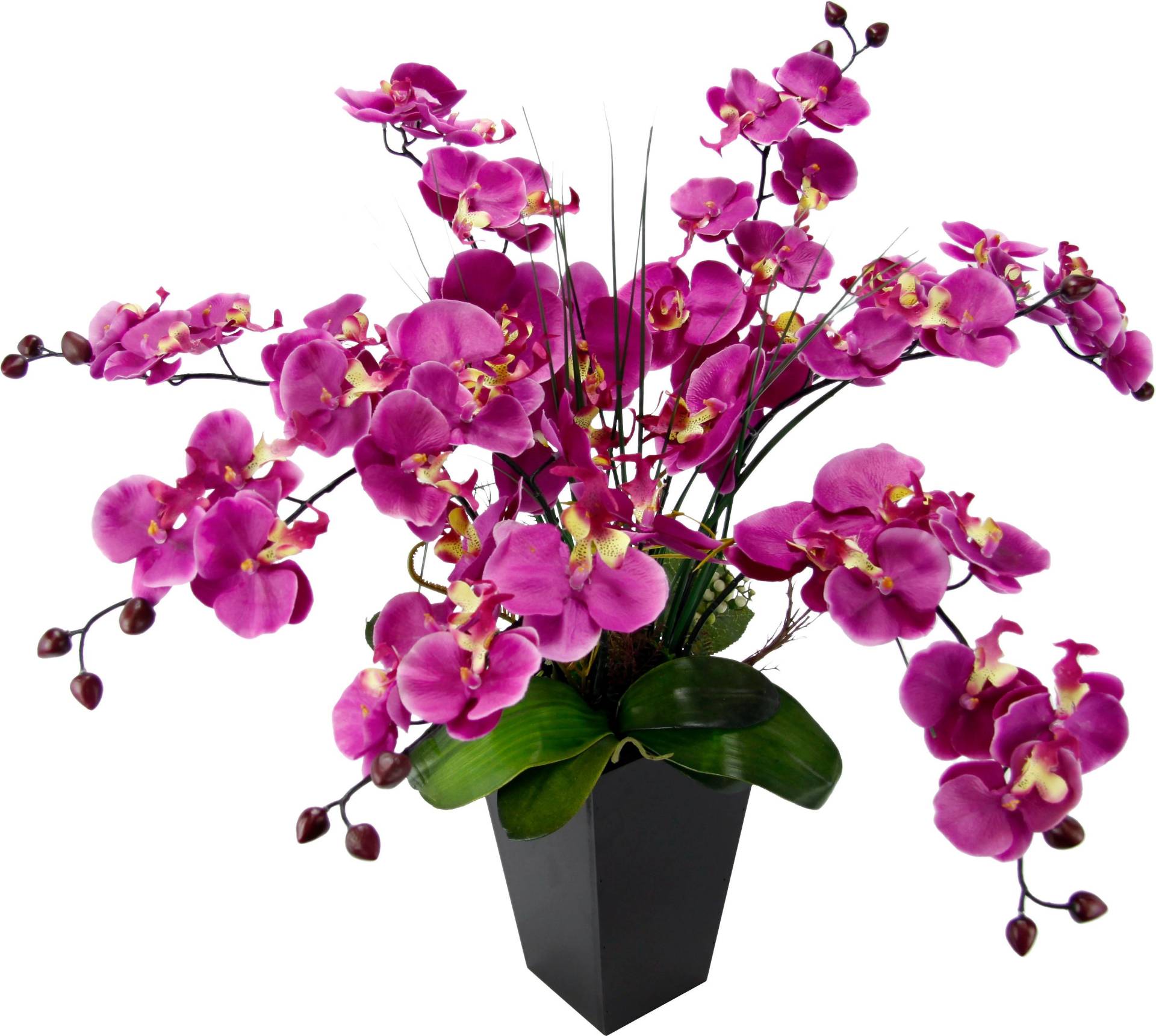 I.GE.A. Kunstpflanze »Phalaenopsis im Topf« von I.GE.A.