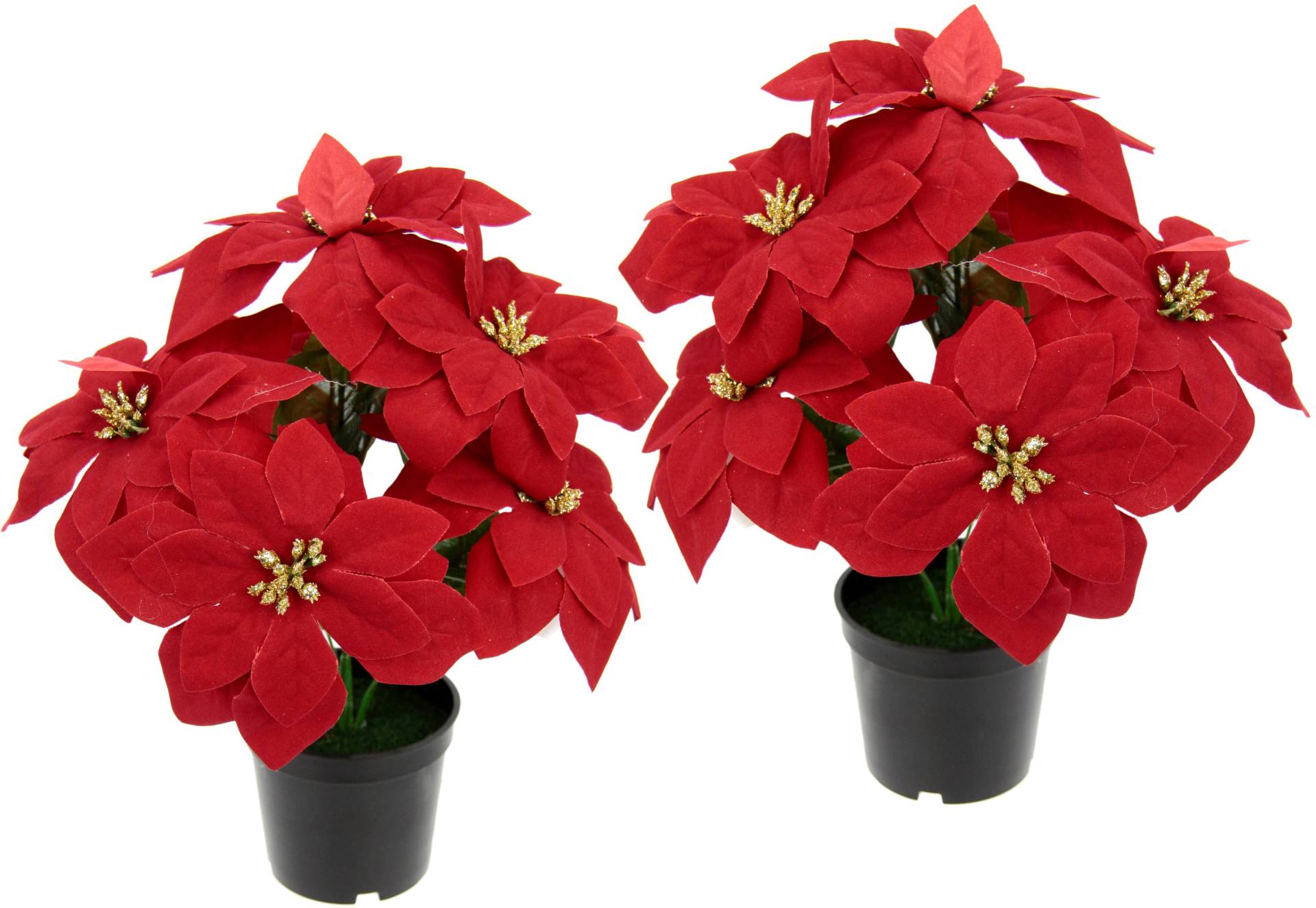 I.GE.A. Kunstpflanze »Poinsettie«, im Topf, 2er Set I.GE.A. Kunstpflanze »Poinsettie«, im Topf, 2er Set von I.GE.A.