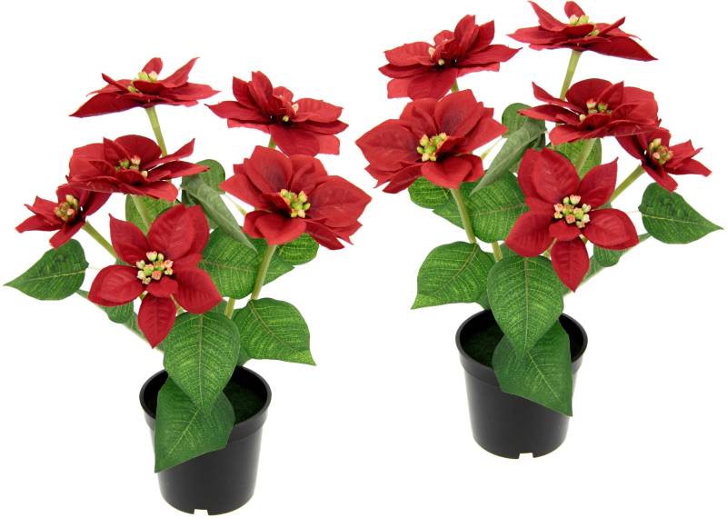 I.GE.A. Kunstpflanze »Poinsettie«, im Topf, 2er Set von I.GE.A.