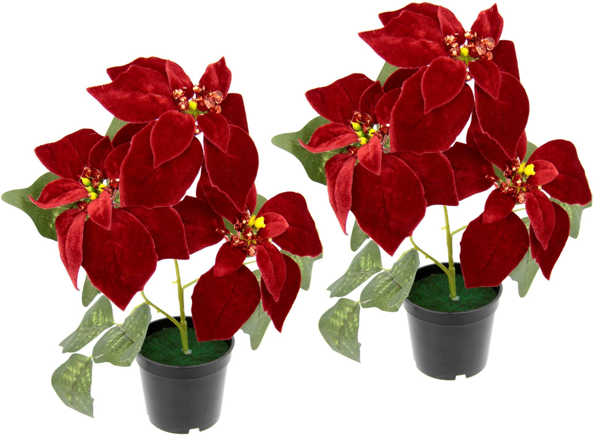 I.GE.A. Kunstpflanze »Samt-Poinsettie«, im Topf, 2er Set von I.GE.A.