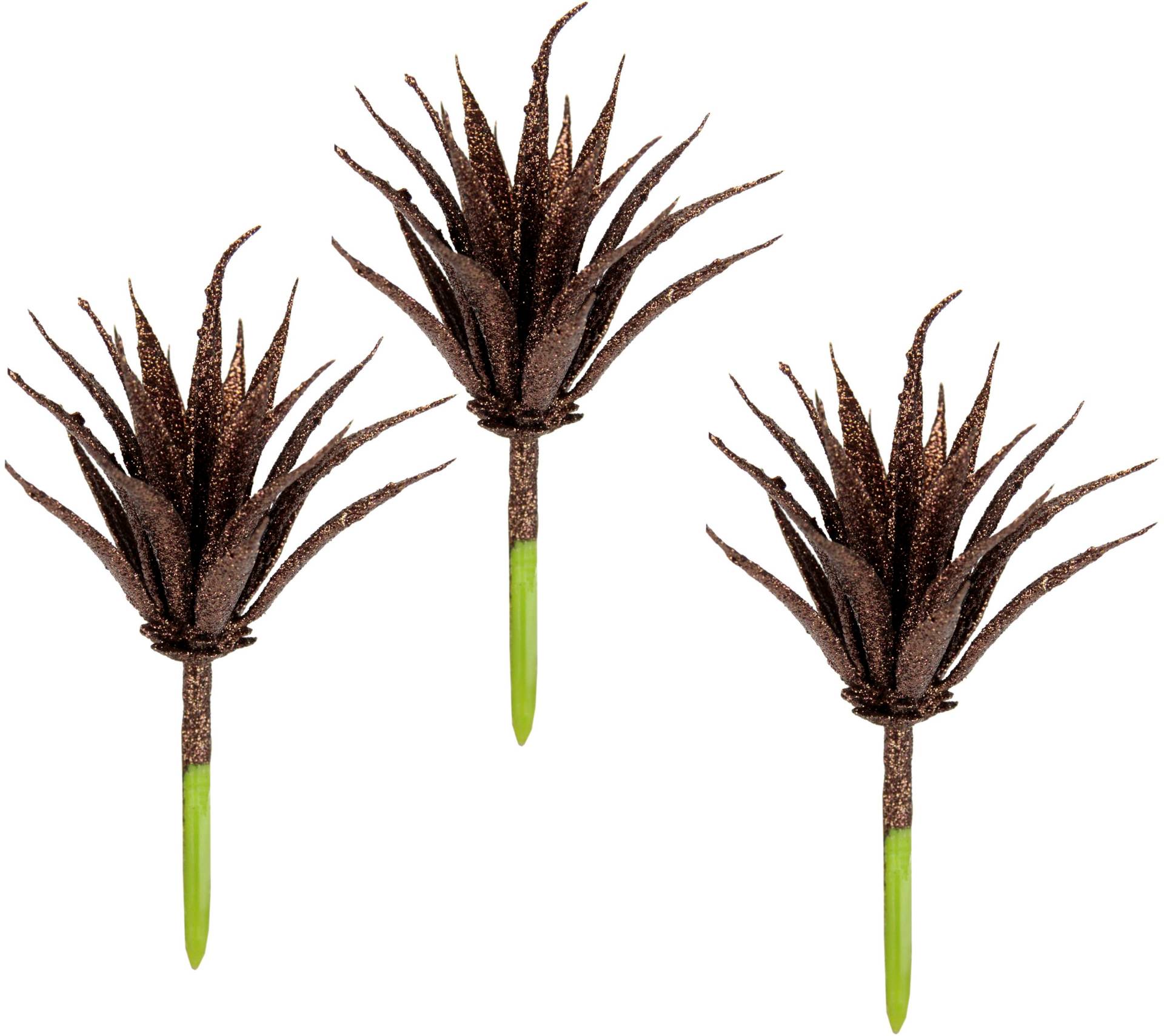 I.GE.A. Kunstpflanze »Tillandsia«, 3er Set von I.GE.A.