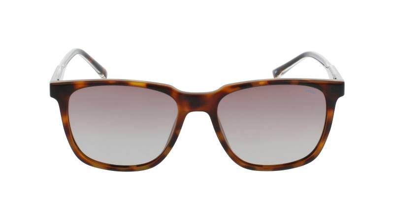 Polarisierte Sonnenbrille Mit Etui Herren Erdbraun ONE SIZE von INVU