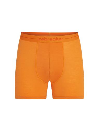 Einzelstück Icebreaker Men Merino Anatomica Boxers - ray (Grösse: L) von Icebreaker