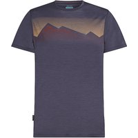 ICEBREAKER Herren Funktionsshirt Rad Peak grau | L von Icebreaker