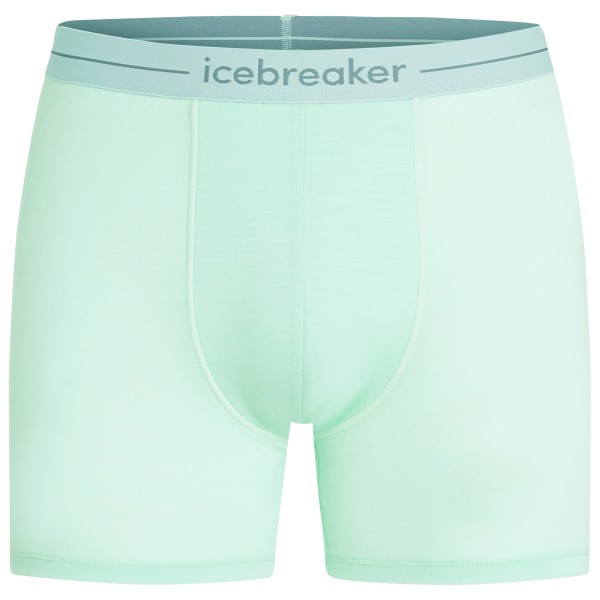 Icebreaker - Anatomica Boxers - Merinounterwäsche Gr L grün von Icebreaker