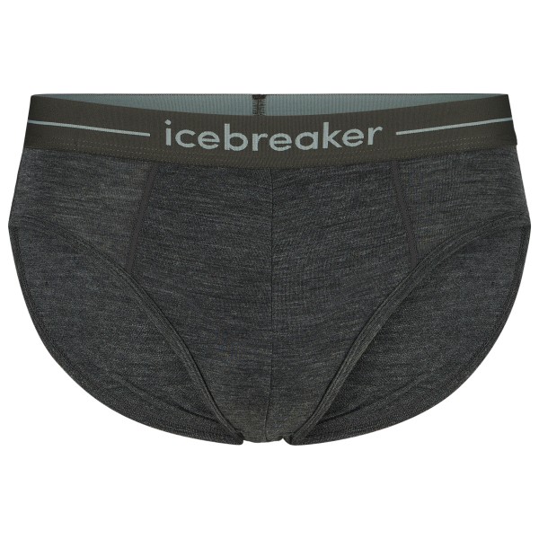 Icebreaker - Anatomica Briefs - Merinounterwäsche Gr L grau von Icebreaker