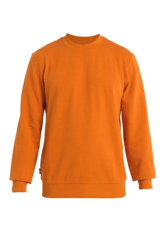 Icebreaker Men Central II LS Sweatshirt - earth (Grösse: L) von Icebreaker