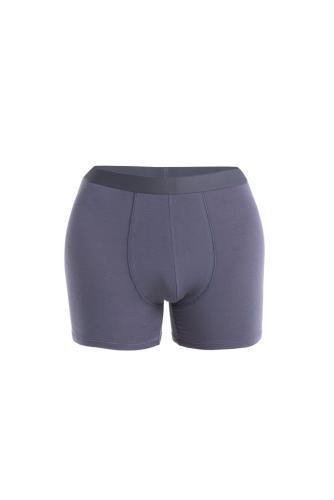 Icebreaker Men Merino Core Boxers - graphite (Grösse: L) von Icebreaker