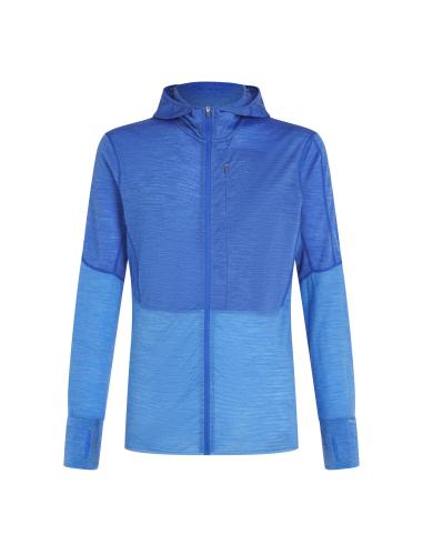 Icebreaker Men Merino Mer 200 Realfleece Descender LS Zip H - brilliant (Grösse: L) von Icebreaker