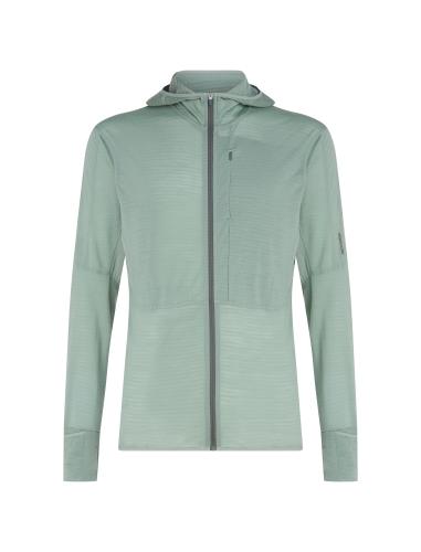 Icebreaker Men Merino Mer 200 Realfleece Descender LS Zip H - moss (Grösse: M) von Icebreaker