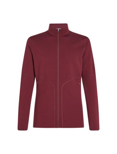 Icebreaker Men Merino Mer 560 Realfleece EleMtal II LS Zip - port (Grösse: L) von Icebreaker