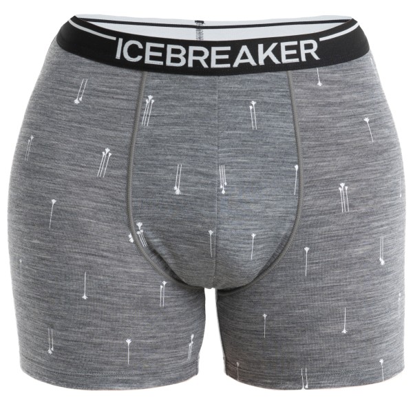 Icebreaker - Merino Anatomica Boxers Palm Trail AOP - Merinounterwäsche Gr L grau von Icebreaker