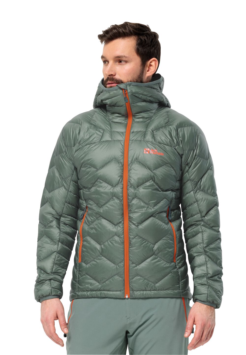 Jack Wolfskin Daunenjacke Herren Alpspitze Down Hoody Men L hedge green Hedge Green von Jack Wolfskin