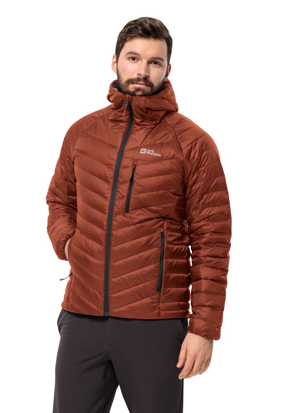 Jack Wolfskin Daunenjacke Herren Passamani Down Hoody Men M carmine carmine von Jack Wolfskin