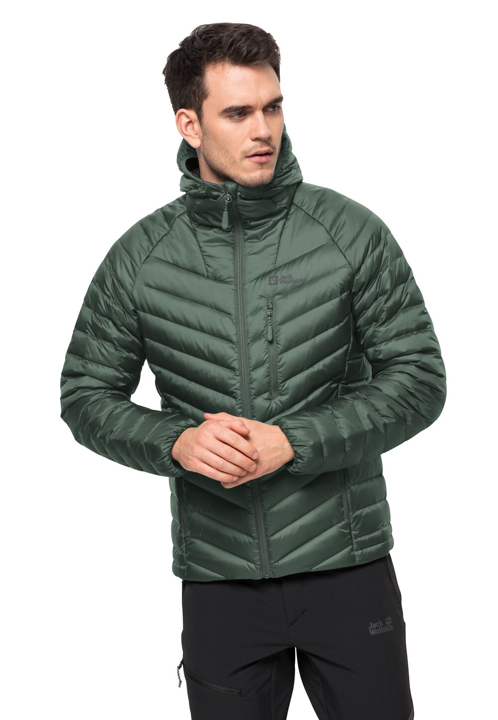 Jack Wolfskin Daunenjacke Herren Passamani Down Hoody Men S hedge green hedge green von Jack Wolfskin