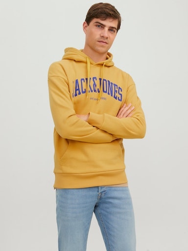 Jack & Jones Kapuzensweatshirt »JJEJOSH SWEAT HOOD NOOS« von Jack & Jones