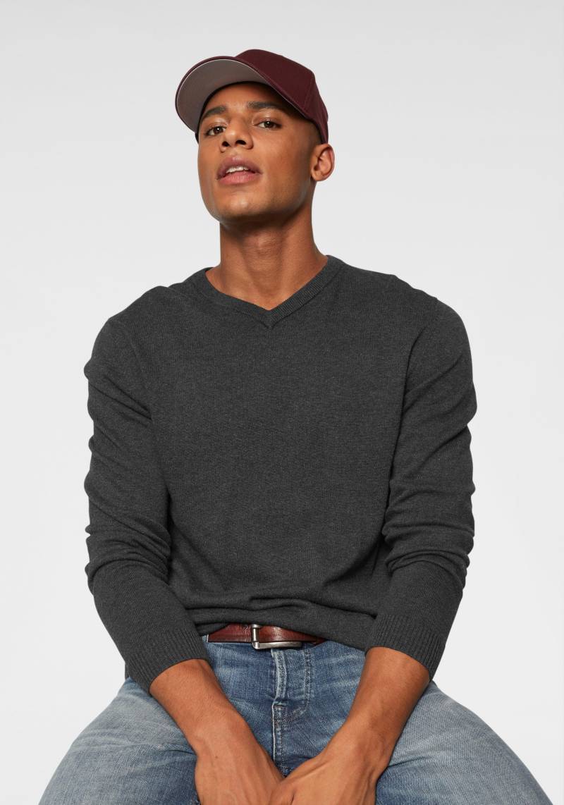 Jack & Jones V-Ausschnitt-Pullover »JJEBASIC KNIT V-NECK« von Jack & Jones