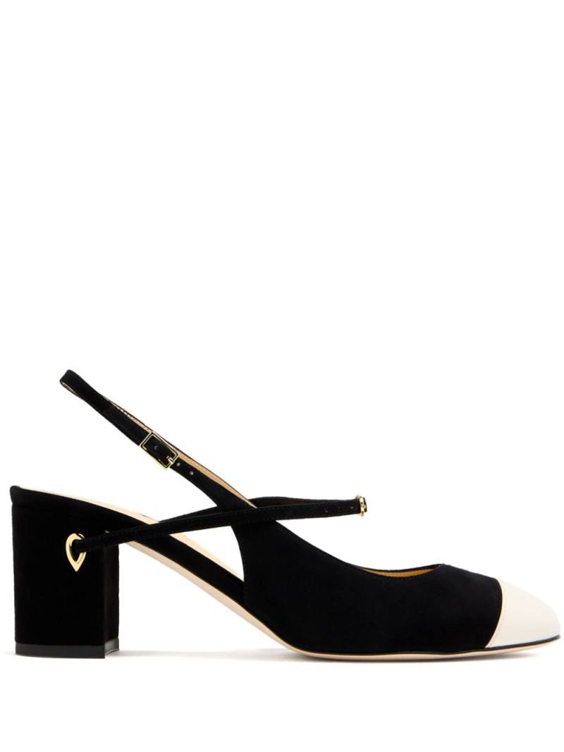 Jennifer Chamandi 65mm Mattia pumps - Black von Jennifer Chamandi