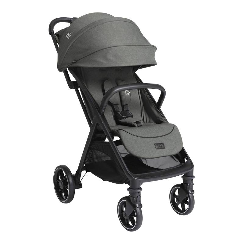 Buggy Parcel LX von Joie