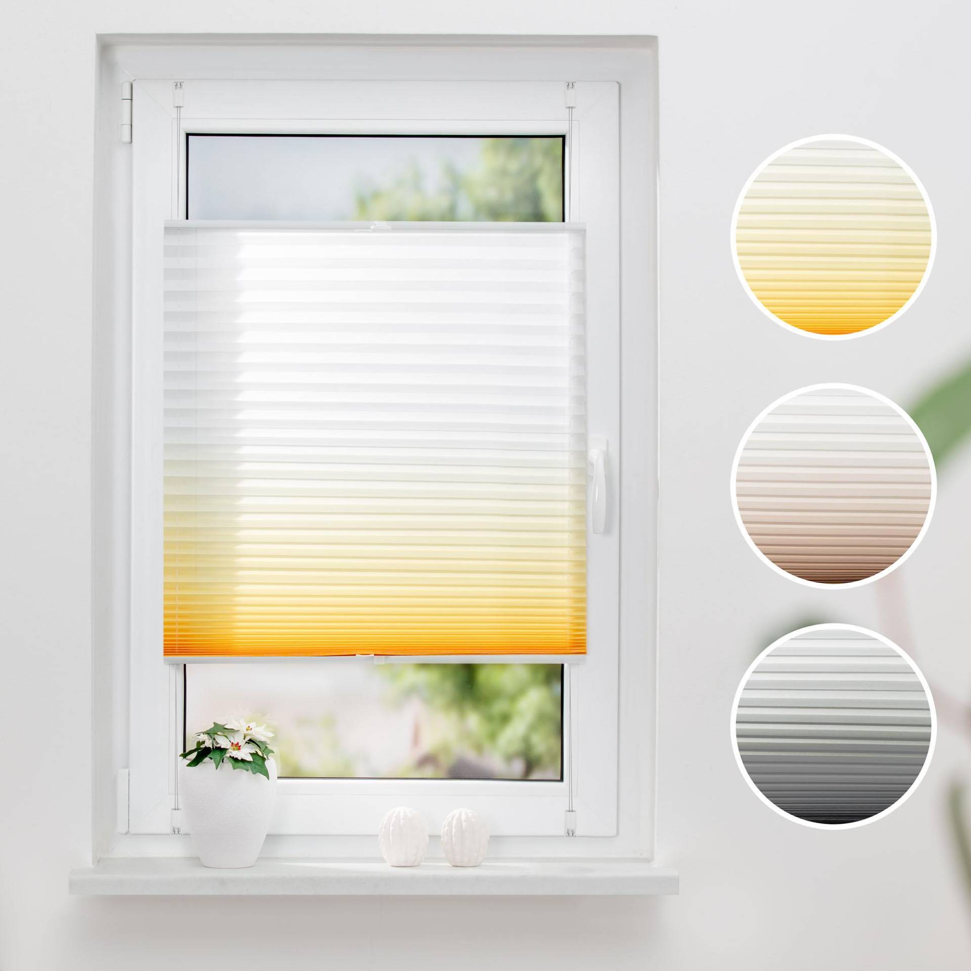 K-HOME Plissee »Farbverlauf«, Lichtschutz, ohne Bohren, verspannt K-HOME Plissee »Farbverlauf«, Lichtschutz, ohne Bohren, verspannt von K-HOME