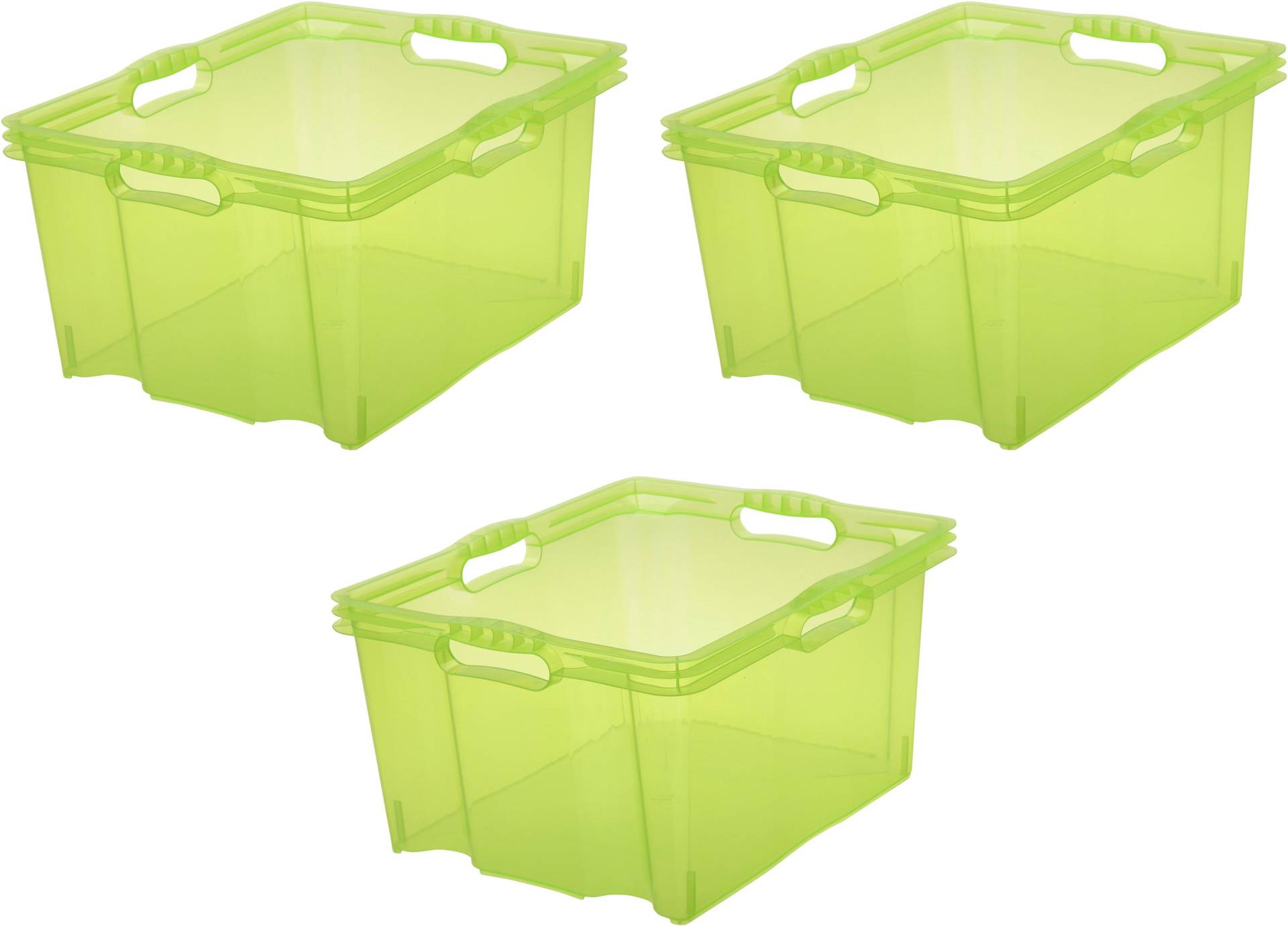 keeeper Organizer »franz«, (Set, 3 St.), Aufbewahrungsboxen xl, 24 Liter, hochwertiger Kunststoff von Keeeper