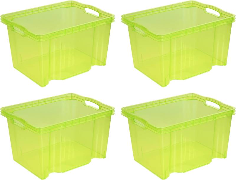 keeeper Organizer »franz«, (Set, 4 St.), Aufbewahrungsbox, 13,5 L, hochwertiger Kunststoff von Keeeper