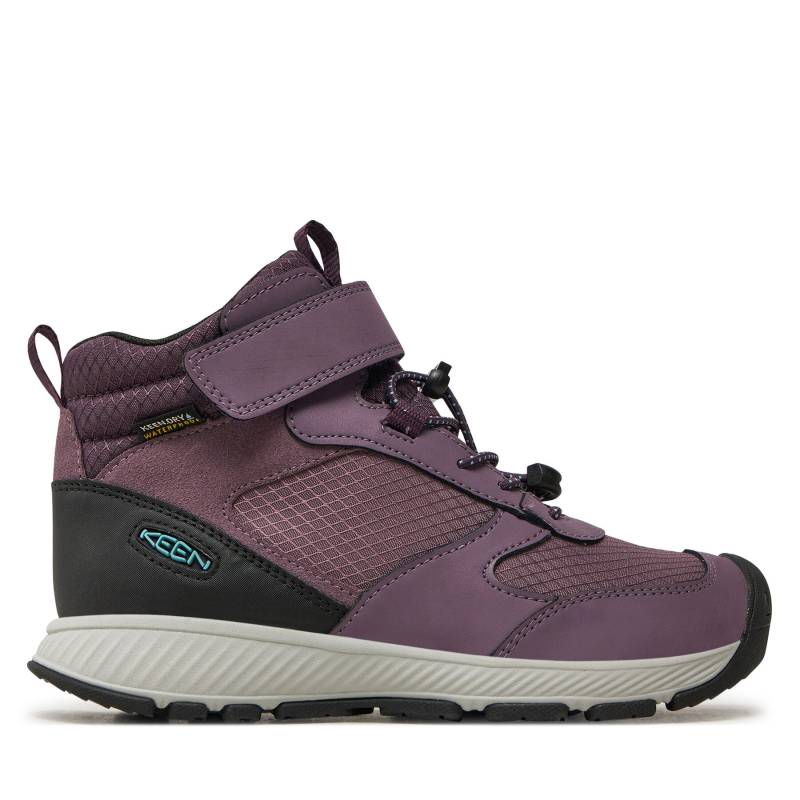 Trekkingschuhe Keen Skua Mid Wp 1029542 Violett von Keen