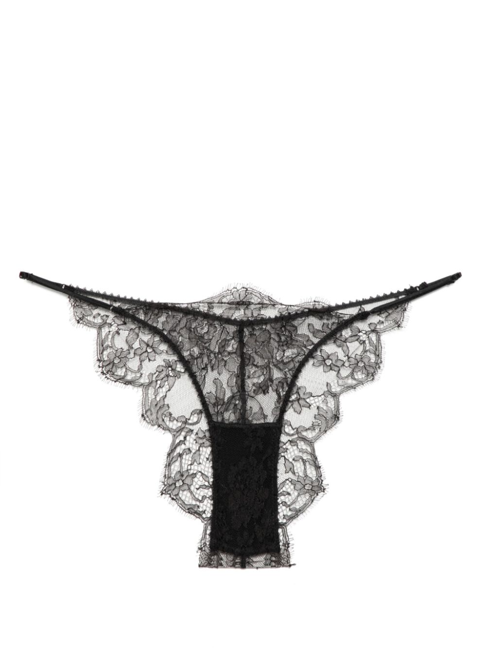 Kiki de Montparnasse sheer lace briefs - Black von Kiki de Montparnasse