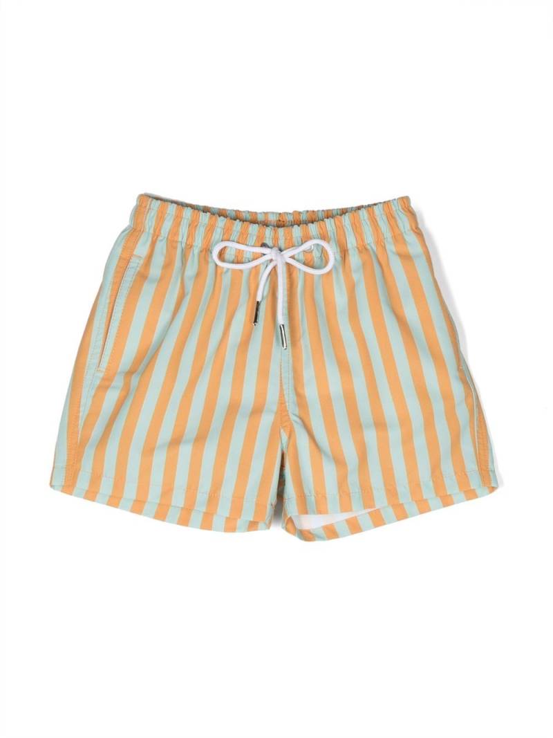 Knot Parker striped swim shorts - Green von Knot