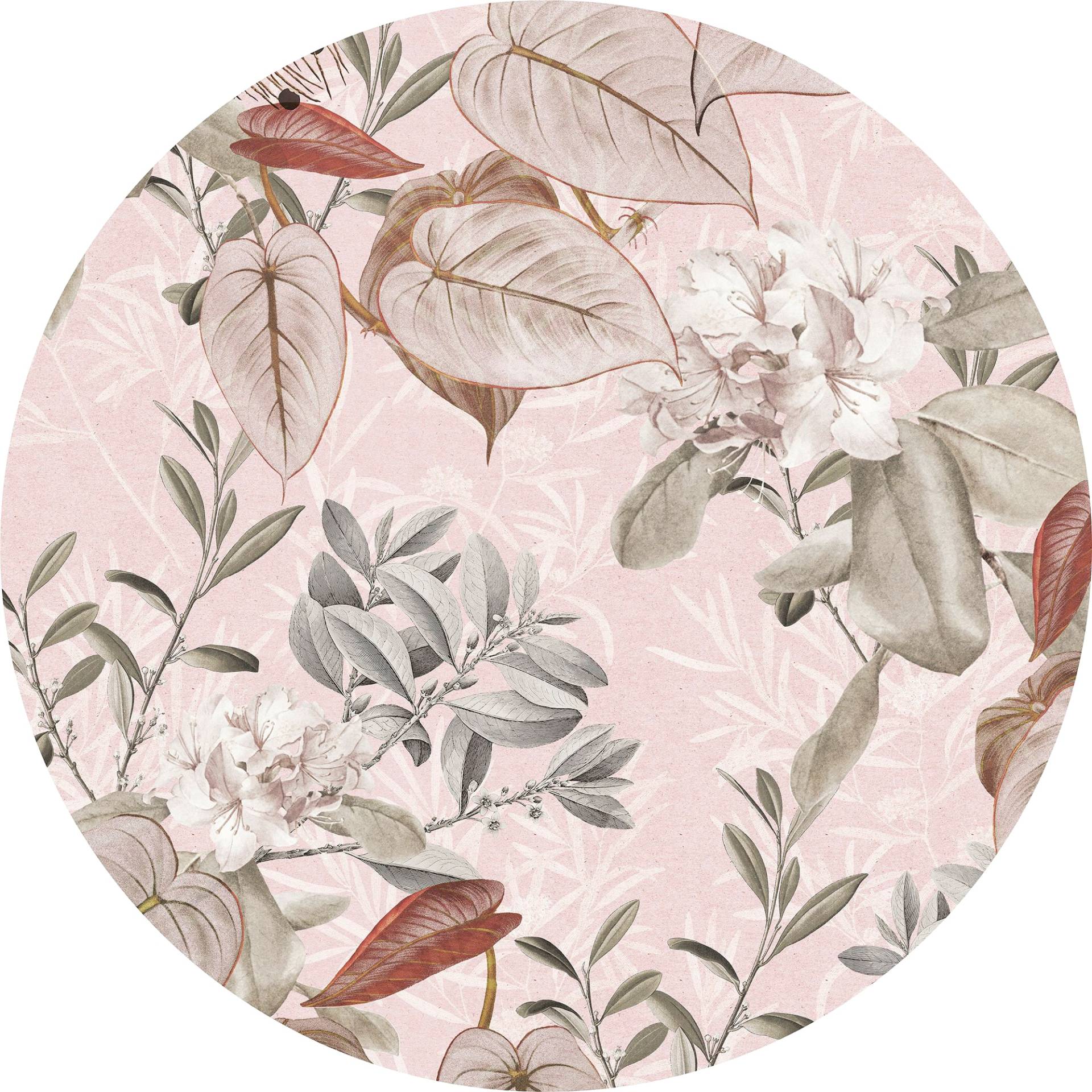 Komar Fototapete »Vlies selbstklebend - Adorn - Grösse 125 x 125 cm«, bedruckt, Wohnzimmer, Schlafzimmer Komar Fototapete »Vlies selbstklebend - Adorn - Grösse 125 x 125 cm«, bedruckt, Wohnzimmer, Schlafzimmer von Komar