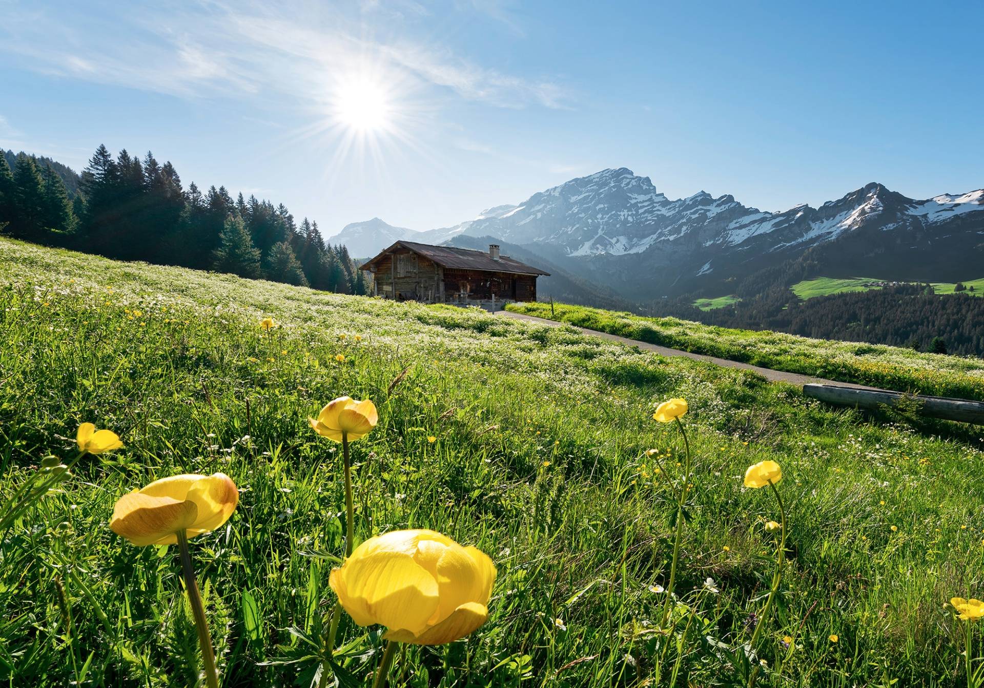 Komar Vliestapete »Alpenglück«, 400x280 cm (Breite x Höhe), Wohnzimmer, Schlafzimmer von Komar