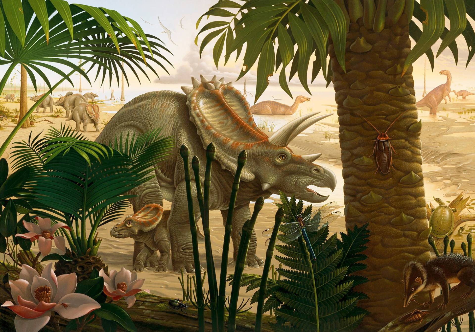 Komar Fototapete »Anchieratops Jungle«, bedruckt-Comic-Retro-mehrfarbig, BxH: 400x280 cm von Komar